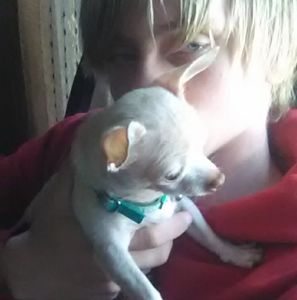 Meet your Posher, Willie